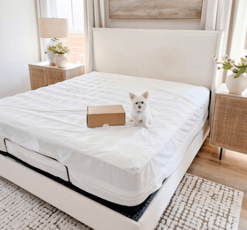 2025's Top Home Decor Trends Featuring Bamboo Bedding - GOKOTTA
