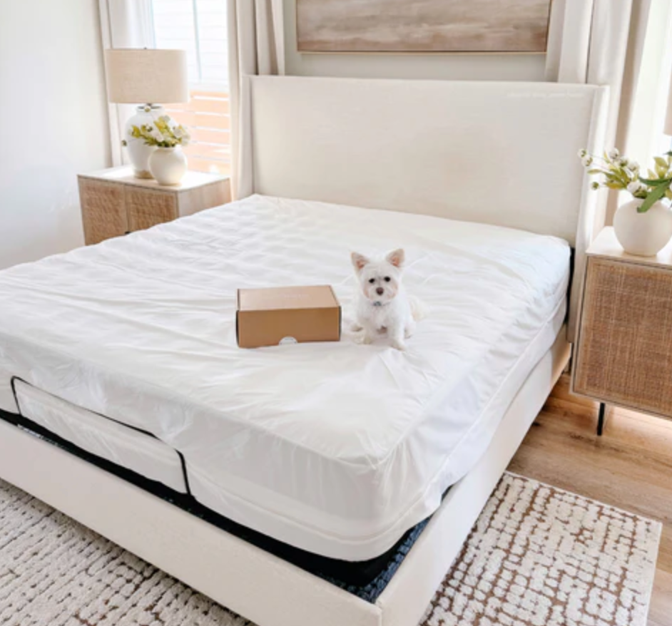 2025's Top Home Decor Trends Featuring Bamboo Bedding