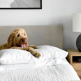 Bamboo Cooling Pillowcases Set, Bright White - GOKOTTA