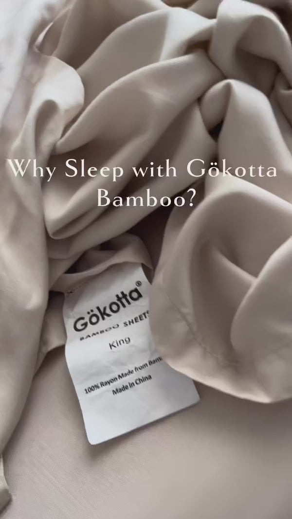 gokotta.us-3080635856236196116.mp4